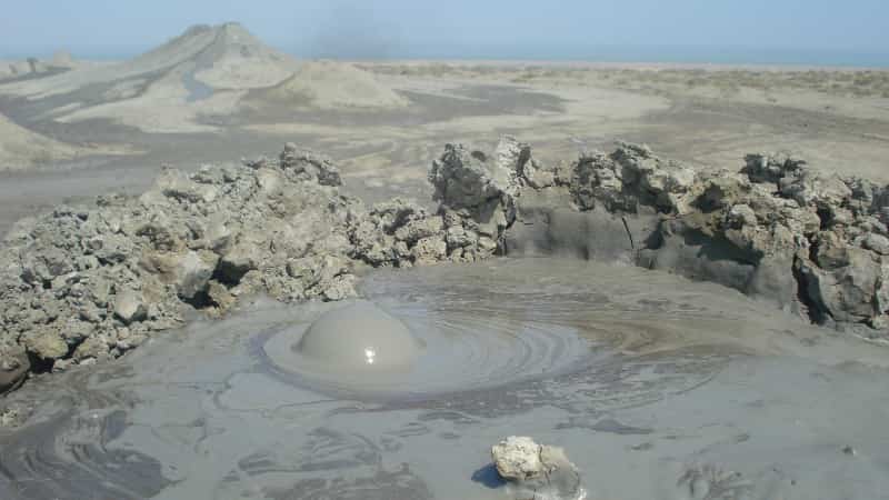 گل افشان